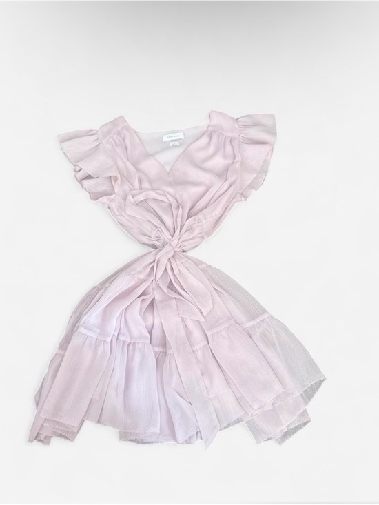 Aritzia Dresses & Skirts - Aritzia Little Moon Blush Pink V-Neck Ruffle Dress